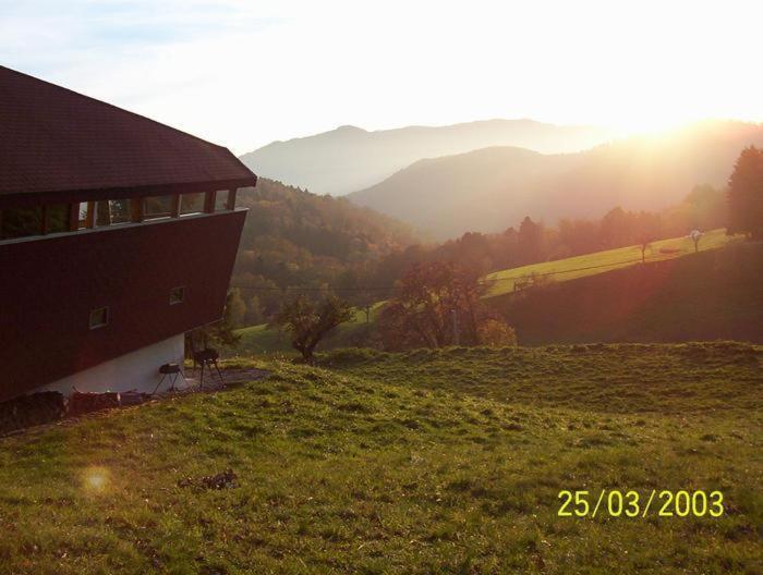 Chalet Contemporain Plein Nature Altenbach Экстерьер фото
