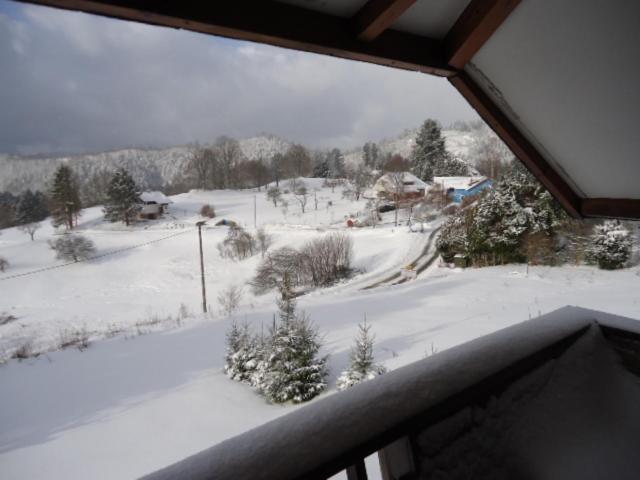 Chalet Contemporain Plein Nature Altenbach Экстерьер фото